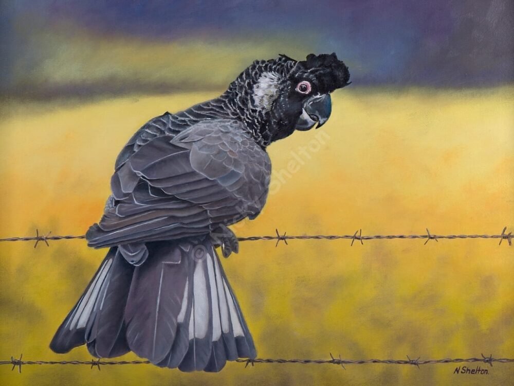 Carnaby Cockatoo Painting - Marty - Bird Paintings