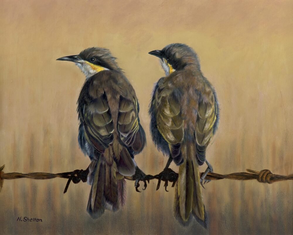 Singing Honeyeaters Painting - Sugar & Spice - Bird Paintings Australia