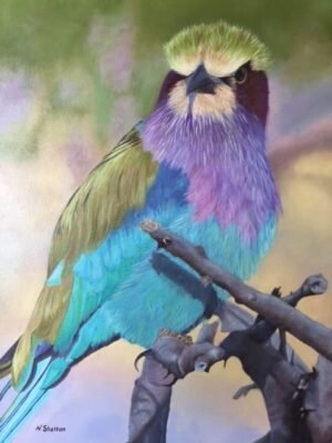Lilac Breasted Roller Painting - Lilly - Australian Bird Paintings