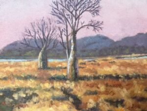 Boabs Tree in the Kimberley painting - Plein Air Paintings