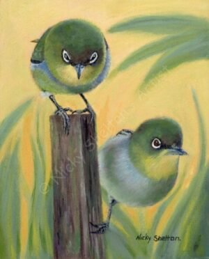 Silvereyes