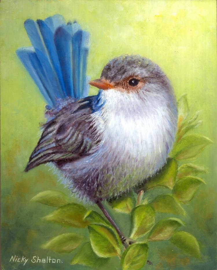 Precious - Splendid Fairywren painted in oils by Australian bird artist ...