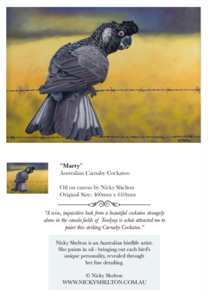"Marty" - Individual Greeting Card