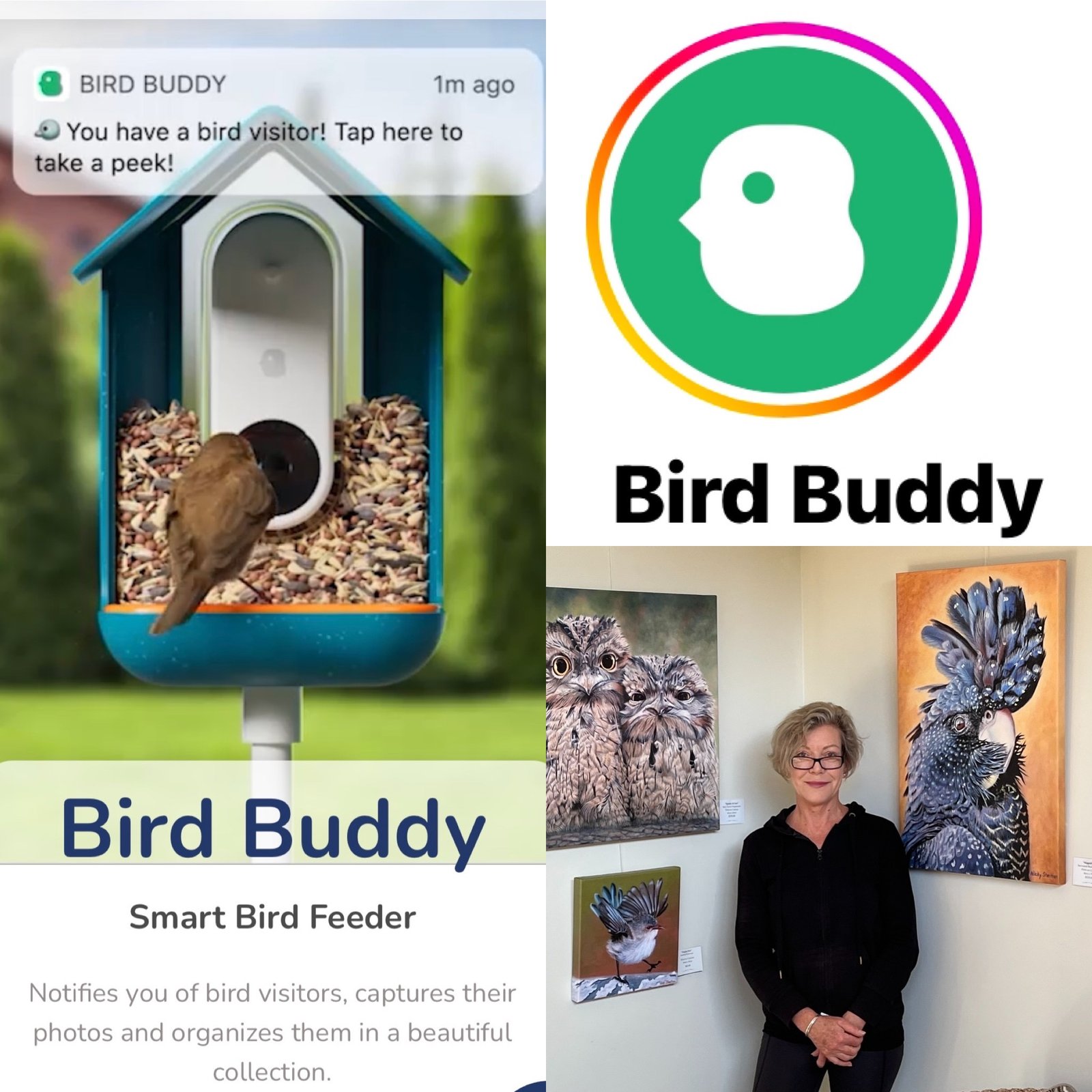 Up Close and Personal with Bird Buddy - Nicky Shelton Artist