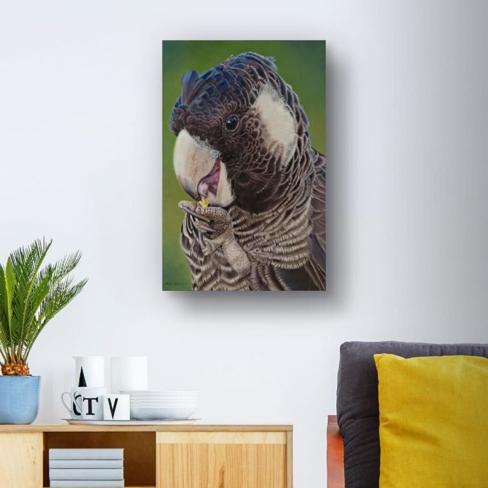 Oil painting of a Carnaby's Black Cockatoo by Nicky Shelton, Australian bird artist.