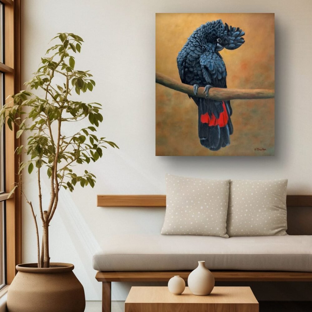 Oil painting of a male Red-tailed Black Cockatoo by Nicky Shelton, Australian bird artist.