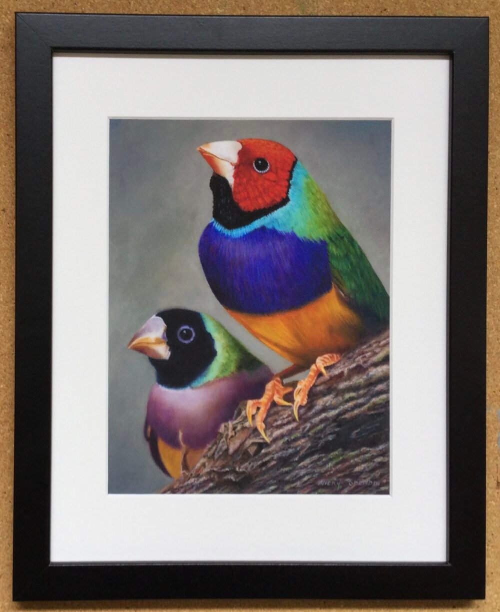 Mr & Mrs Gouldian - Print in Matboard - Black Frame