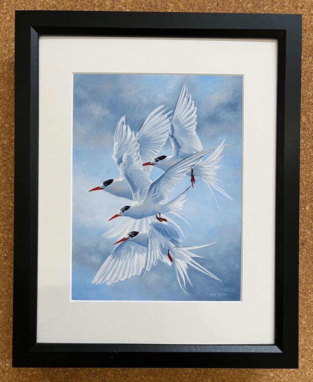 A Symphony in the Sky - Black Frame