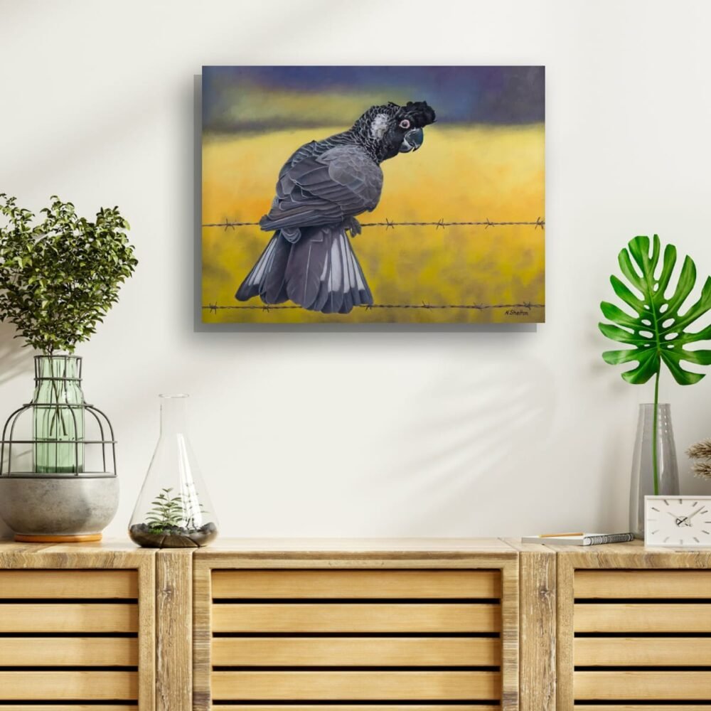 Oil painting of a Carnaby's Black Cockatoo by Nicky Shelton, Australian bird artist.