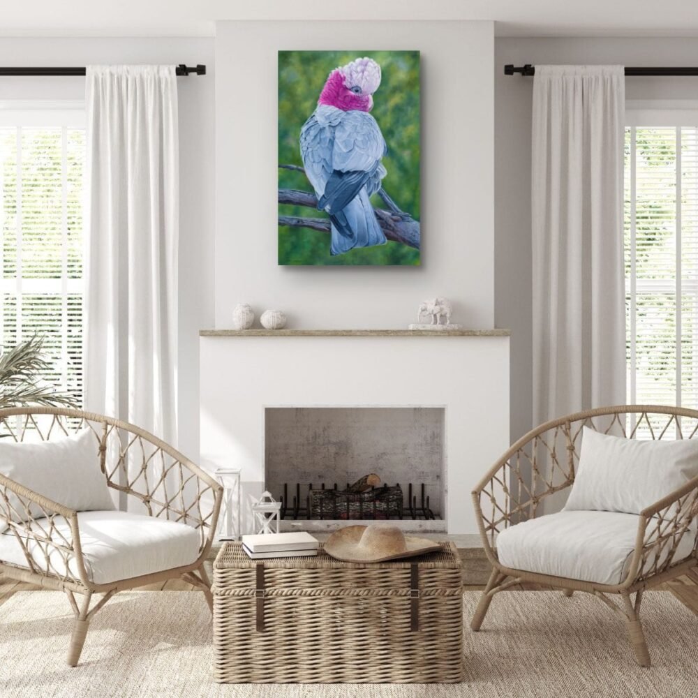 Oil painting of an Australian Galah by Nicky Shelton, Australian bird artist.