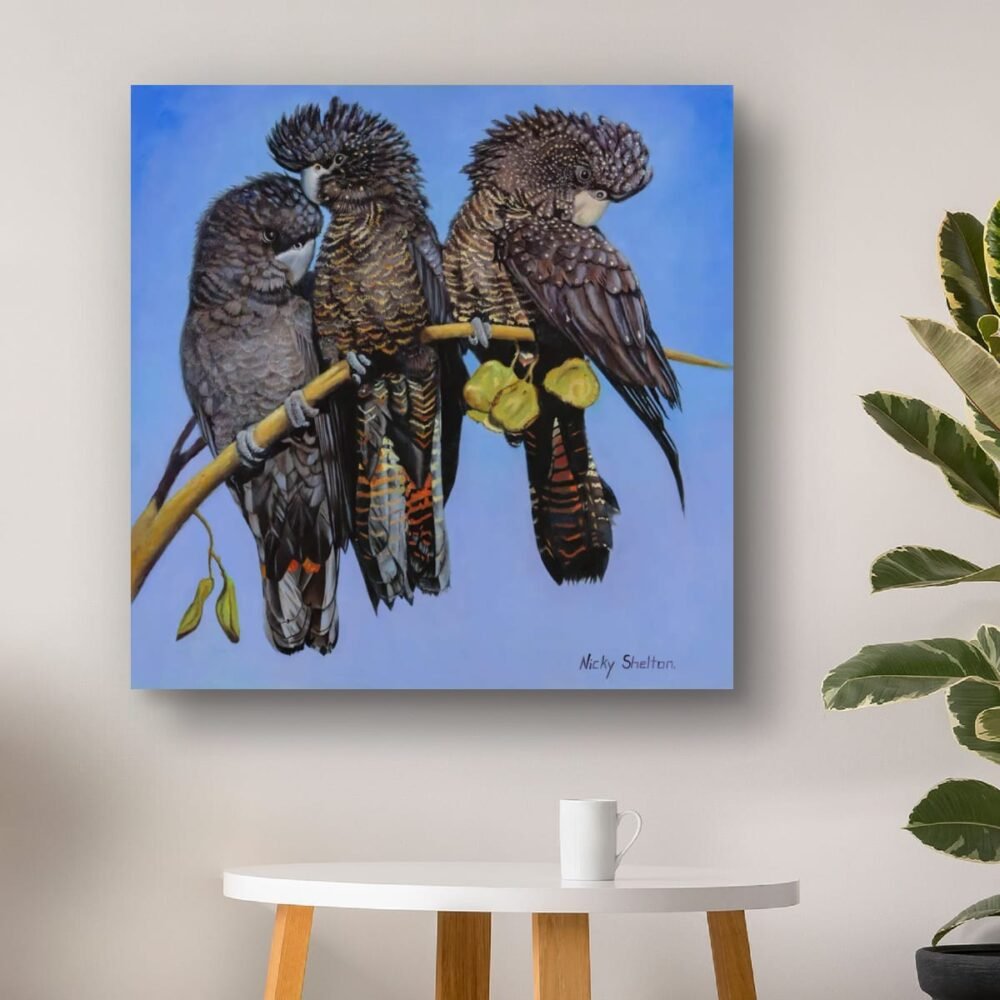 Endangered Red-tailed Black Cockatoos painted in oils by Nicky Shelton, Australian bird artist.