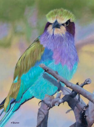 "Jewel of the Savannah" - Lilac Breasted Roller