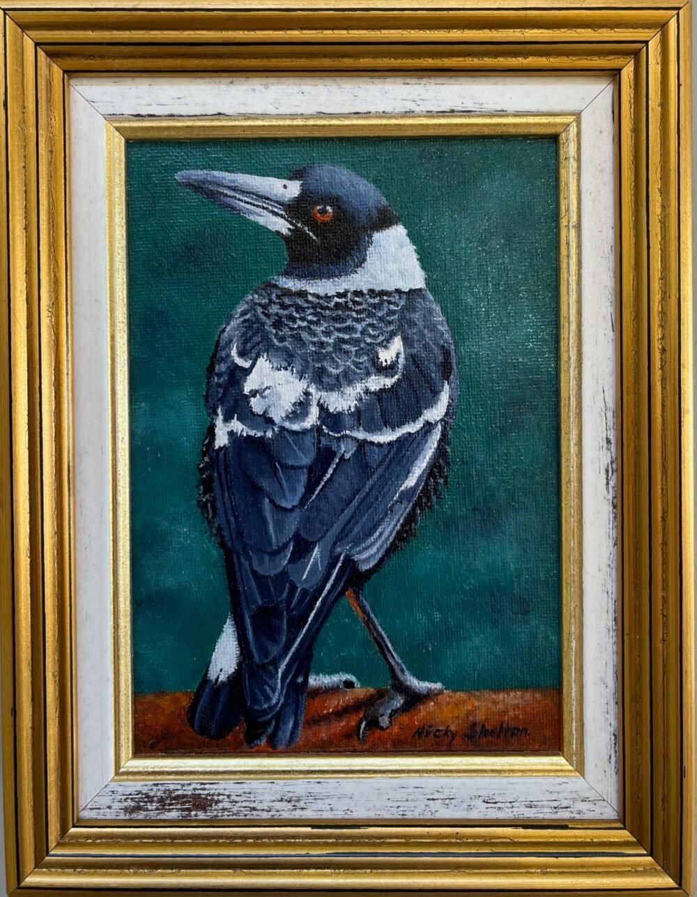 Oil painting of an Australian Magpie by Nicky Shelton, Australian bird artist.