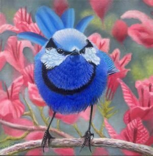 Oil painting of a Splendid Fairy-wren by Nicky Shelton, Australian bird artist.