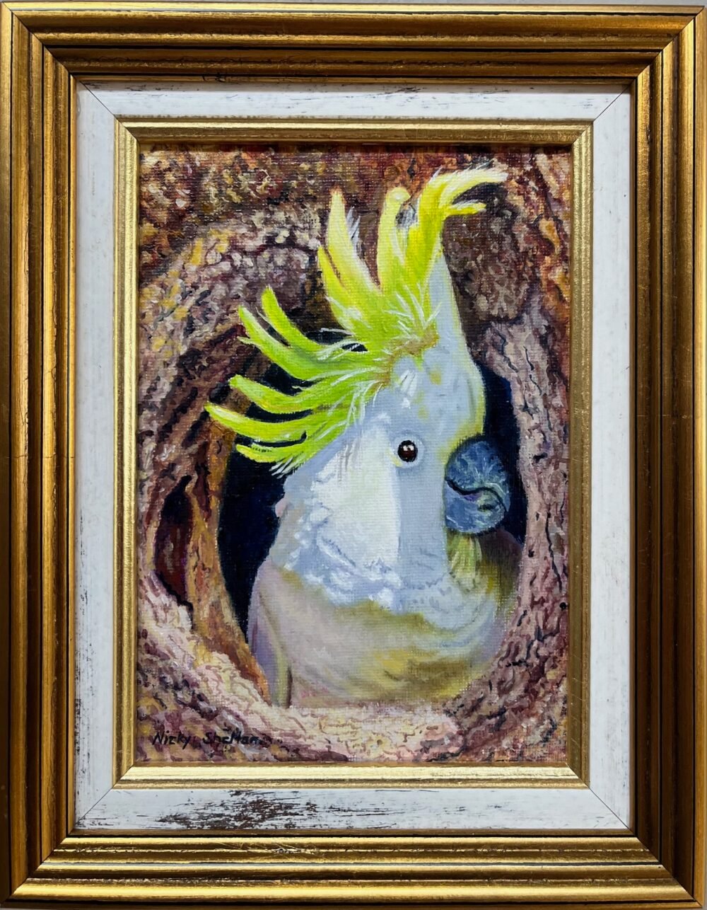 Oil painting of a Sulphur Crested Cockatoo by Nicky Shelton, Australian bird artist.