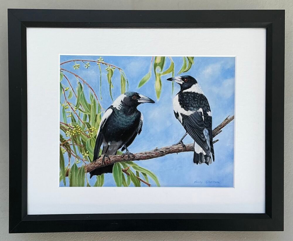 Identical print of a realistic oil painting of two Australian Magpies by Nicky Shelton, Australian bird artist.